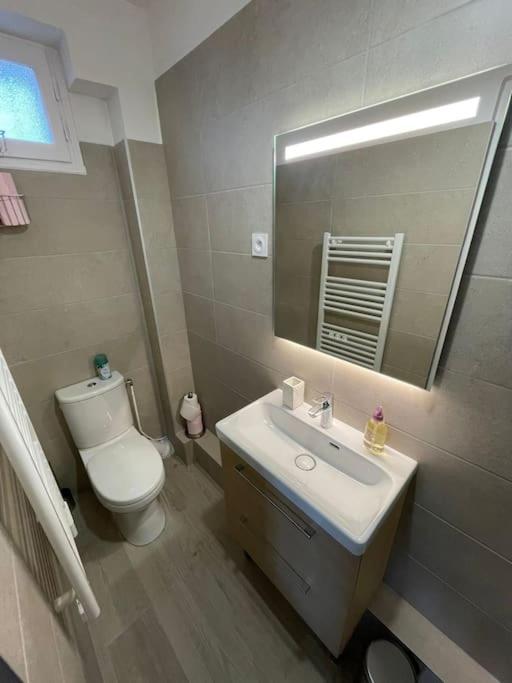 Appartement 1 Chambre Proche Gare Et Centre Ville 普瓦西 外观 照片